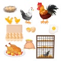 Eco farming. Rooster, chicken and eggs pattern Vector.