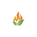 Eco flame logo template vector