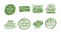 Eco food product green color lettering phrases set. Hand drawn doodle sticker vector illustration. Royalty Free Stock Photo