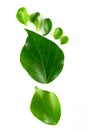 Eco footprint made from leaves Royalty Free Stock Photo