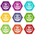 Eco fresh meat icons set 9 vector