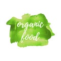 Eco Fresh Organic Green Food vector word, text, icon, symbol, poster, logo on hand drawn green paint background illustration Royalty Free Stock Photo