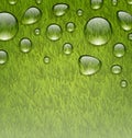 Eco friendly background with water drops on fresh green grass te