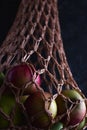 Eco-friendly bag avoska from weaving threads, Avoska - with apples, protectAvoska - a mesh, woven from harsh threads household bag