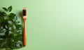 Eco-friendly bamboo toothbrushes and eucalyptus leaf on green background. Natural organic bathroom beauty product