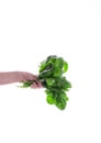 Eco-friendly beige shopping bag with grapes on a white background. String bag with fruits. Zero waste, no plastic concept