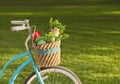 Eco friendly bike with basket full of fresh vegetables Royalty Free Stock Photo