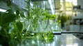 Eco-friendly biofuel contained in a laboratory flask, E-Fuel concept