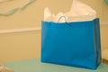 Eco Friendly Blue Paper Bag Royalty Free Stock Photo