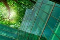 Eco-friendly building in the modern city. Green tree branches with leaves and sustainable glass building for reducing heat and