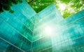 Eco-friendly building in the modern city. Green tree branches with leaves and sustainable glass building for reducing heat and