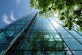 Eco-friendly building in the modern city. Sustainable glass office building with tree for reducing carbon dioxide. Office building