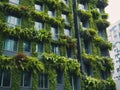 Eco friendly building with vertical garden in modern city. Green plant and tree forest and ivy on facade on sustainable building Royalty Free Stock Photo