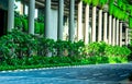 Eco friendly building with vertical garden in modern city. Green plant and tree forest and ivy on facade on sustainable building.