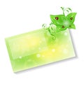 Eco friendly card with green leaves and ladybugs Royalty Free Stock Photo