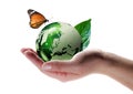 Eco-friendly concept Royalty Free Stock Photo