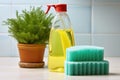 eco-friendly dish soap bottle next to sponge Royalty Free Stock Photo