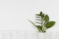 Eco friendly disposable, compostable, recyclable paper cup with plant branches and plastic glasses on white background Royalty Free Stock Photo