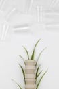 Eco friendly disposable, compostable, recyclable paper cups with plant branches on white background Royalty Free Stock Photo