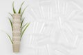 Eco friendly disposable, compostable, recyclable paper cups with plant branches on white background Royalty Free Stock Photo