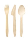 Eco friendly disposable cutlery Royalty Free Stock Photo