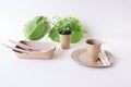 Eco-friendly disposable tableware from natural materials and green leaves on a light background, the concept of ecology, zero wast Royalty Free Stock Photo