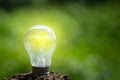 eco-friendly energy of the earth. lightbulb on soil and sunshine. concept saving energy in nature, copy space Royalty Free Stock Photo