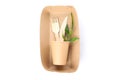 Eco - friendly food container, fork, knife, plant and cup isolated