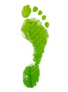 Eco friendly footprint. Leaf texture. Royalty Free Stock Photo