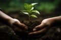 Eco friendly gesture hands holding and caring for a young plant