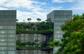 Eco friendly glass building with vertical garden in modern city. Green plant and tree forest and ivy on facade on sustainable Royalty Free Stock Photo