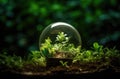 Eco Friendly globus lamp on the ground with green, in the style of global imagery