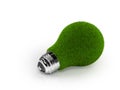 Eco-Friendly Green Grass Bulb