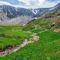 Eco-friendly green mountain highlands with a winding stream through green grass with flowering plants. Square view Royalty Free Stock Photo