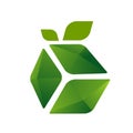 eco friendly green packaging icon logo design vector symbol illustration Royalty Free Stock Photo