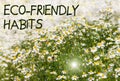 Eco-friendly habits concept. Blooming fresh camomiles meadow, flying bees background. Beautiful chamomile flowers