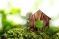 Eco friendly home. House model and coins on grass outdoors, space for text Royalty Free Stock Photo