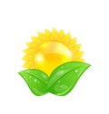 Eco friendly icon with sun and green leaves Royalty Free Stock Photo