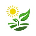 Eco-friendly icon with a sun and leaf design symbolizing renewable energy and natural growth.