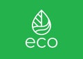 Eco friendly leaf logo line icon