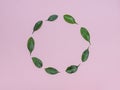 Eco-friendly leaves, in a circle, on a pink background, for design, for icons and recording