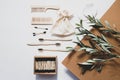 Modern still life scene with olive branch, zero waste products for the home. Bamboo toothbrushes and ear sticks, reusable cotton s