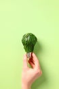 Eco friendly light bulb with green leaves in female hand. Energy saving lamp concept Royalty Free Stock Photo