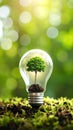Eco-Friendly Light Bulb with Growing Tree Representing Green Energy Ideas Royalty Free Stock Photo