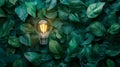 Eco-friendly lightbulb with fresh leaves and green energy Royalty Free Stock Photo