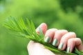 Eco-friendly nail polish: mint coloured manicure