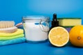 Eco-friendly natural cleaners, cleaning products. Homemade green cleaning Royalty Free Stock Photo