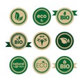 Eco Friendly Organic Natural Product Web Icon Set Retro Green Logo