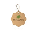 Eco Friendly Organic Natural Product Web Icon Tag Logo Royalty Free Stock Photo