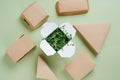 Eco-friendly paper food cases of different shapes and box full of geens